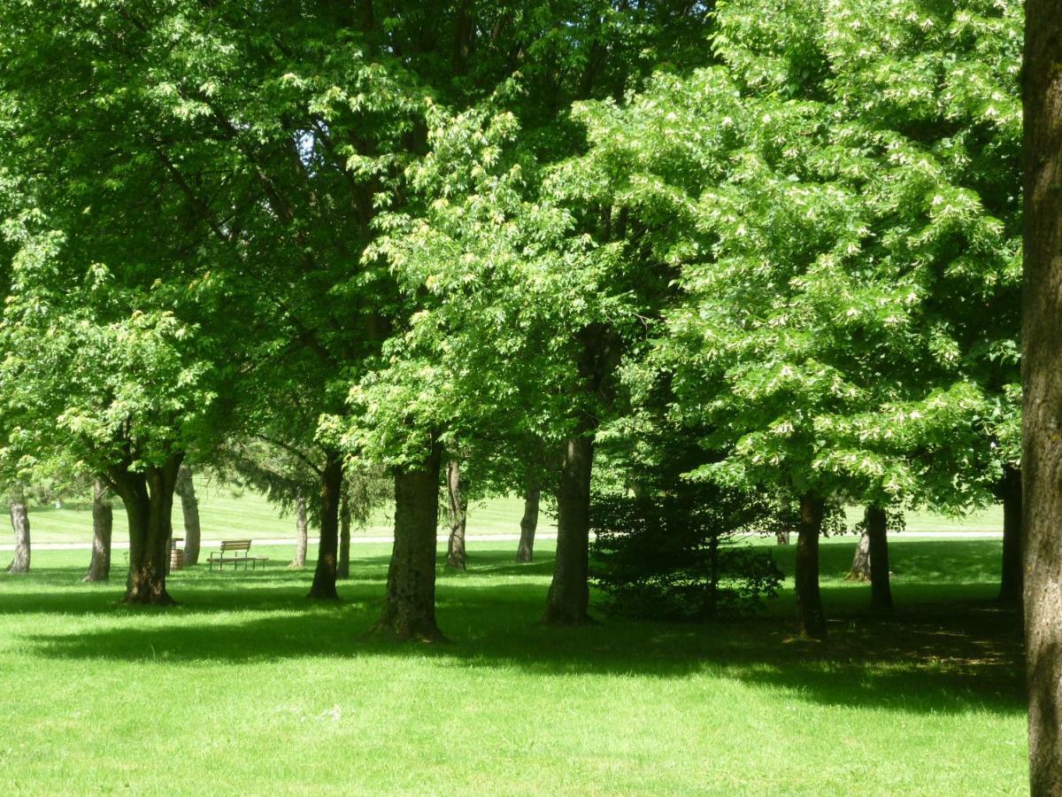L'Oree Du Parc A Бельфор Экстерьер фото